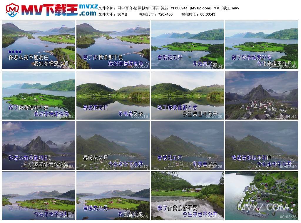 雨中百合-情深似海_国语_流行_YF800941